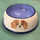 A small dog bowl for Ruby the King Charles Spaniel