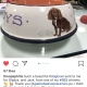 A very special bespoke Dog Bowl for Theo!
