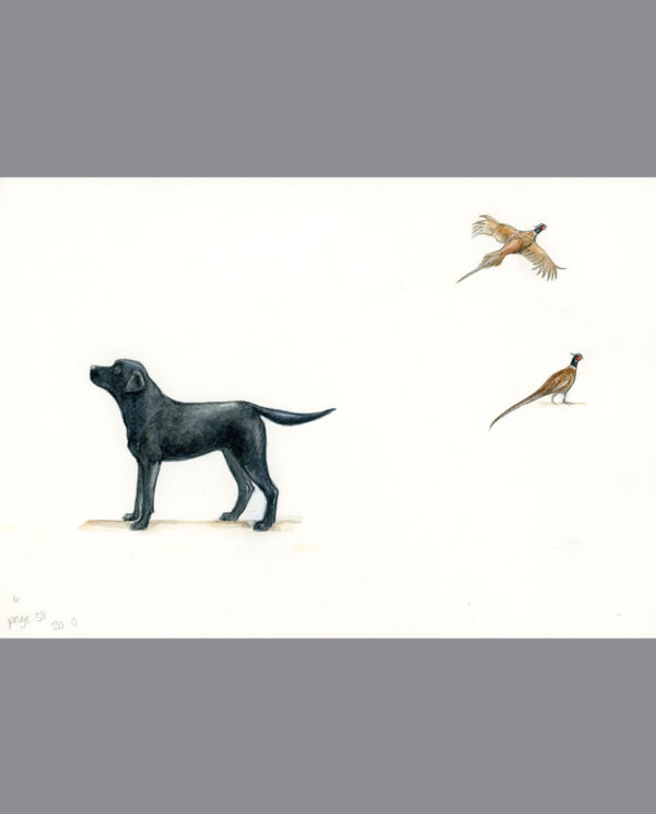 Black Labrador & Pheasant Bone China Dog Bowl