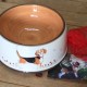 Bespoke Pottery Dog Bowl