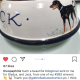 A very special bespoke Dog Bowl for Theo!