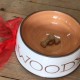 Bespoke Hand Painted Dog Bowl.  From £85.