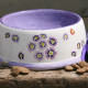 Hand Painted Auricular Dog Bowl