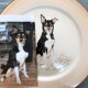 Bespoke Dog Plate